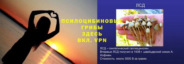хмурый Протвино