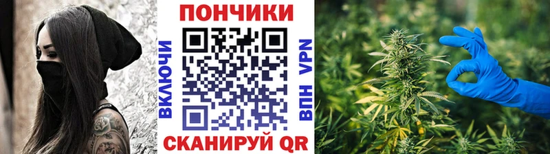 МАРИХУАНА Bruce Banner  Купить закладки  Кинешма 